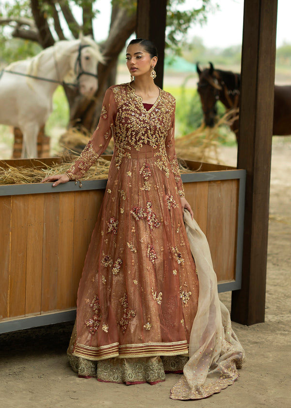 pakistani formal dresses 2020 Umsha's Dress Collection pakistani gown simple