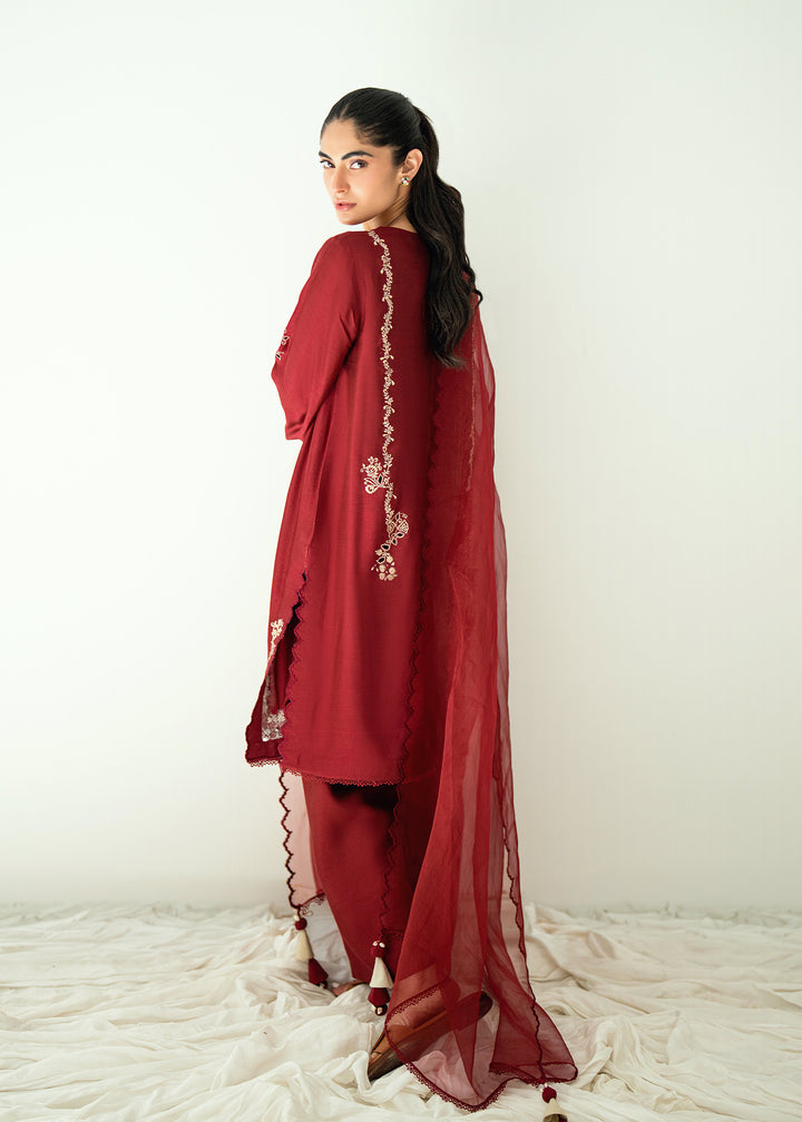 Zarnab – Umsha Official