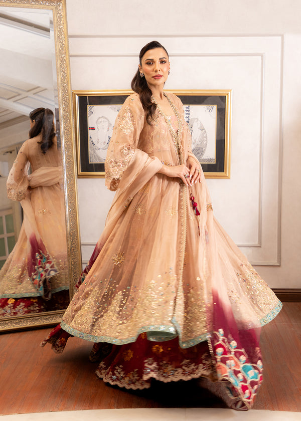 Umsha's Formal Dress Collection | Tradition Meets Trend  Umsha Official